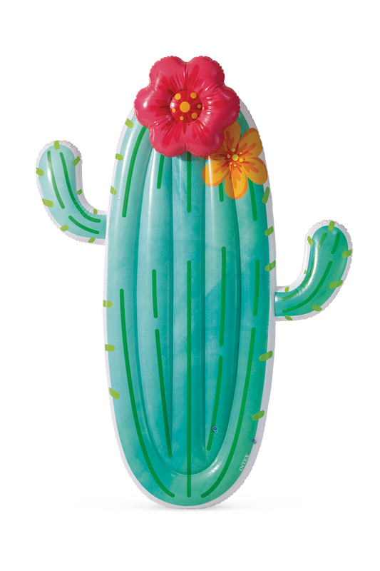 POOL TOY CACTUS FLOAT