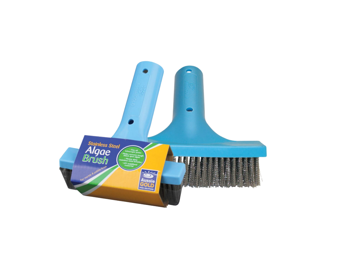 STAINLESS STEEL BRUSH 6"