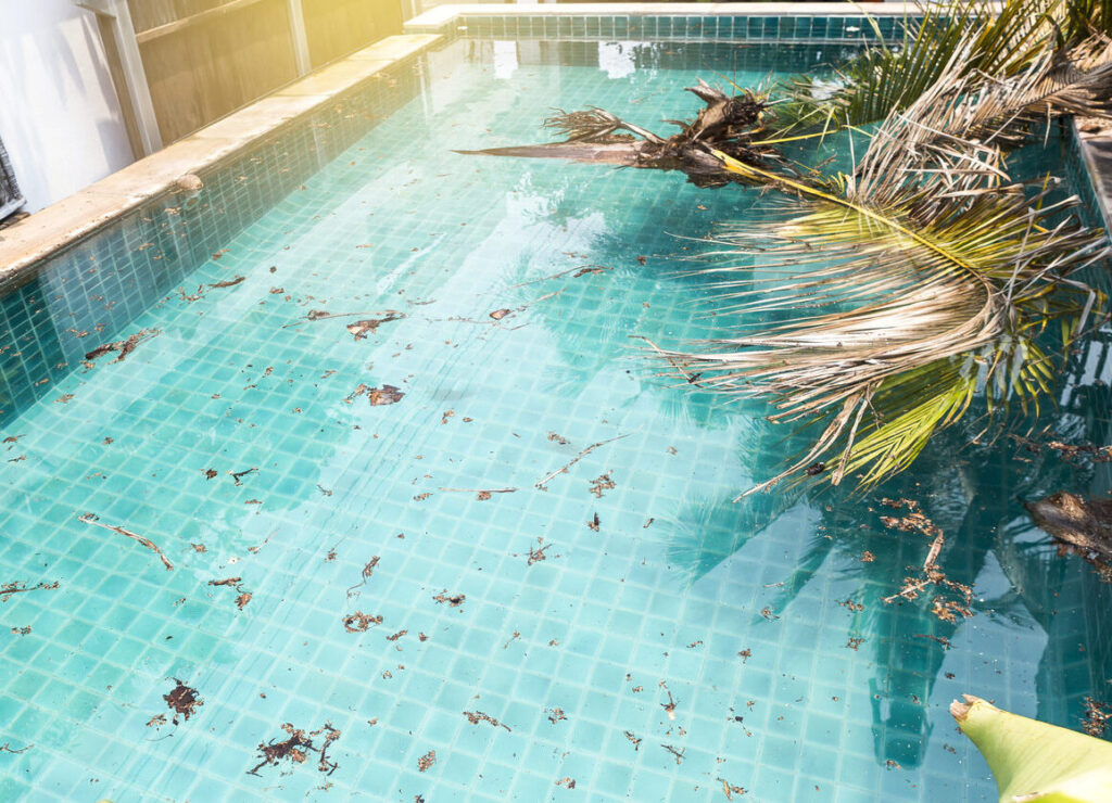 palm tree fronds and debris needing a swimming pool service & clean