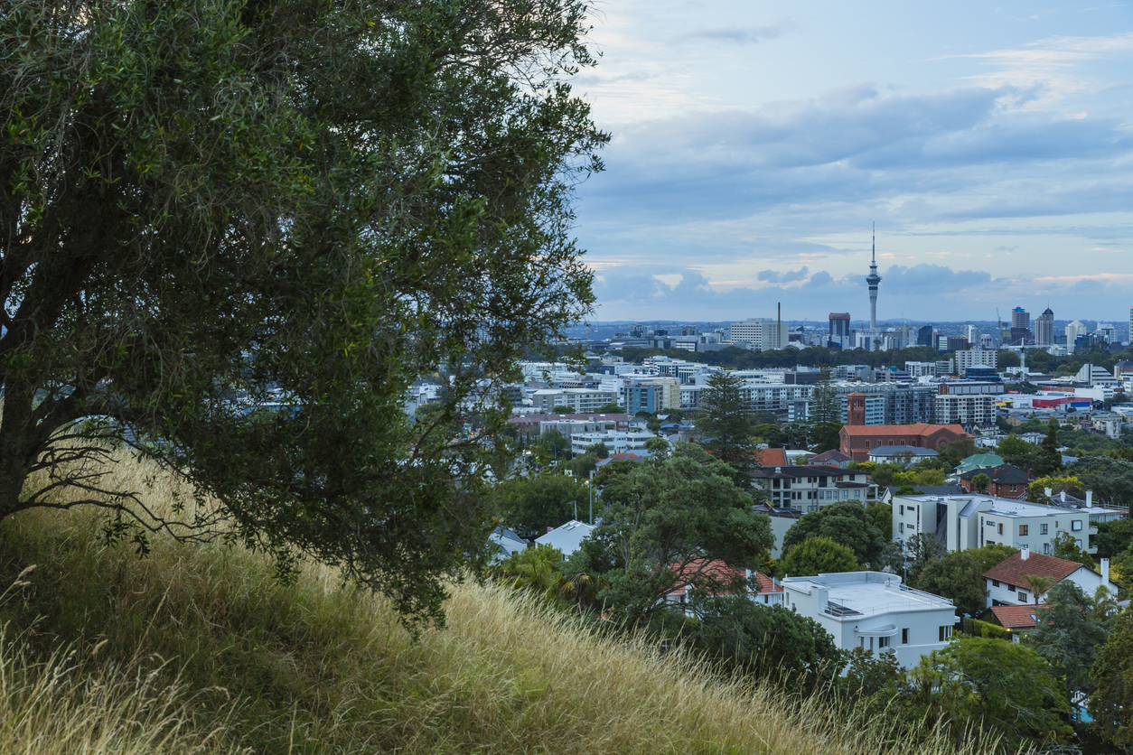 East Auckland residential area where Pool Doctor services swimming pools