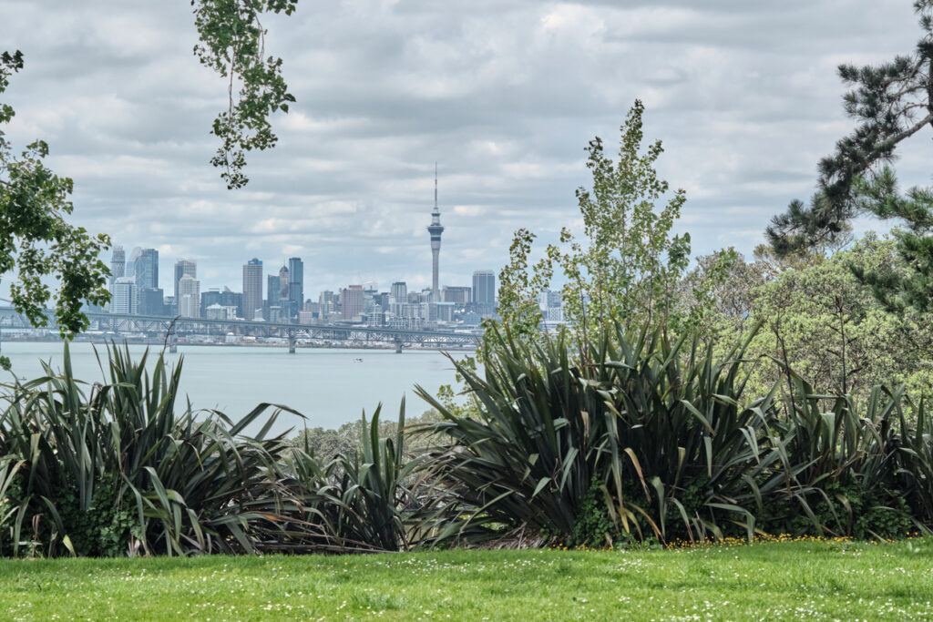 Auckland city skyline with iconic Sky Tower seen through native flax plants at Chelsea Estate Park